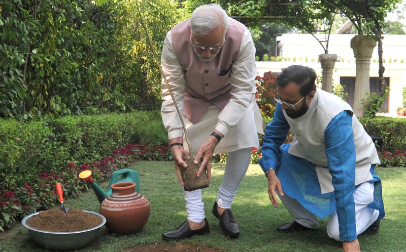 PM plants “Kadamb” sapling on World Environment Day