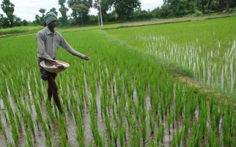 Cabinet approves Amendment in the Central Agricultural University Act, 1992