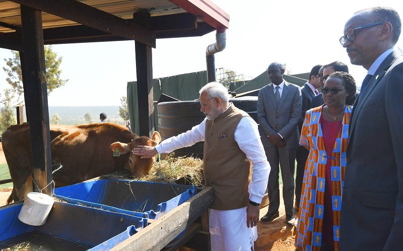 PM gifts cows to villagers at Rweru Model Village, as part of the Rwandan Government’s Girinka Programme