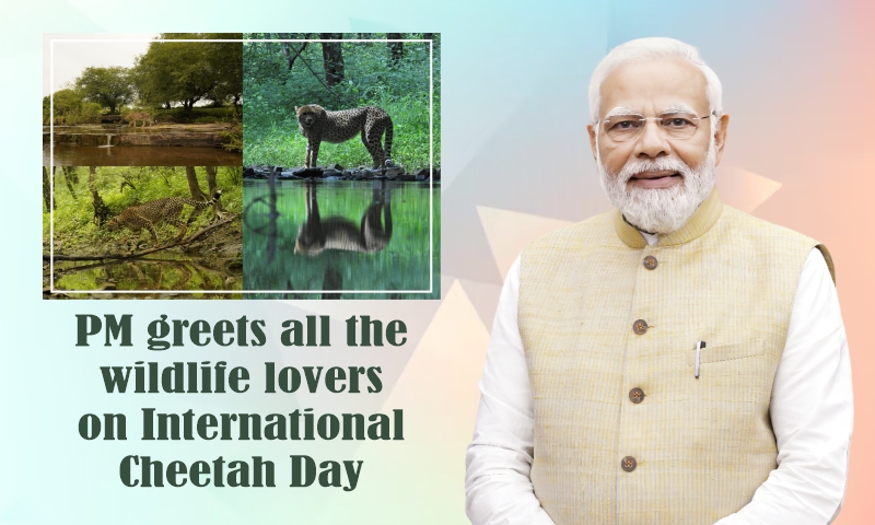 PM greets all the wildlife lovers on International Cheetah Day