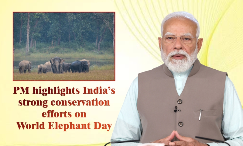 PM highlights India’s strong conservation efforts on World Elephant Day
